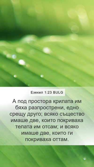 Езекил 1:23 BULG Bible Verse Image