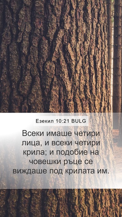 Езекил 10:21 BULG Bible Verse Image