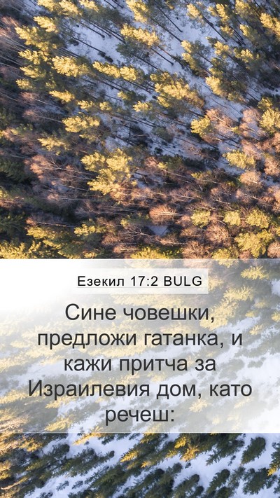 Езекил 17:2 BULG Mobile Phone Wallpaper - Сине човешки, предложи - Mobile Bible Verse Wallpaper
