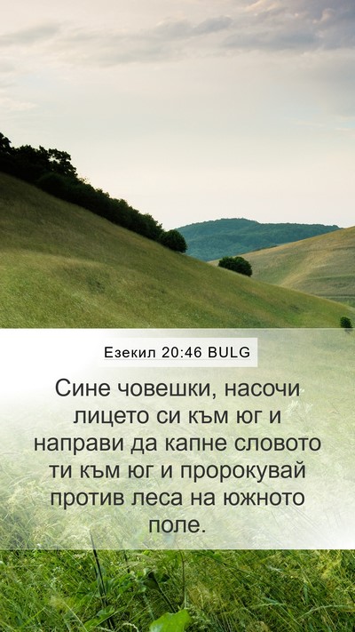 Езекил 20:46 BULG Bible Verse Image
