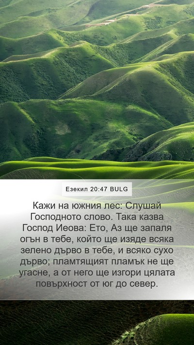 Езекил 20:47 BULG Bible Verse Image