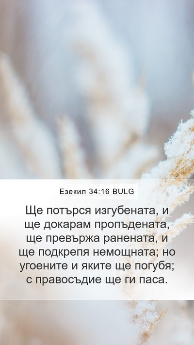 Езекил 34:16 BULG Bible Verse Image
