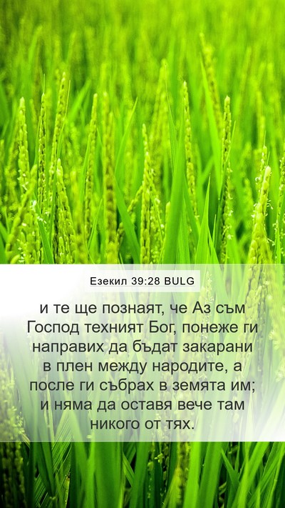 Езекил 39:28 BULG Bible Verse Image