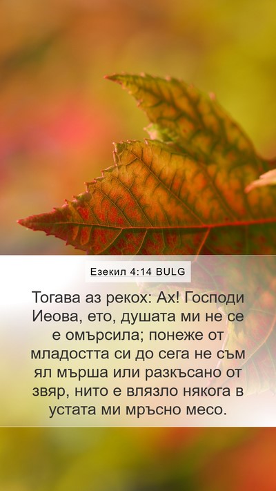 Езекил 4:14 BULG Mobile Phone Wallpaper - Тогава аз рекох: Ах! - Mobile Bible Verse Wallpaper