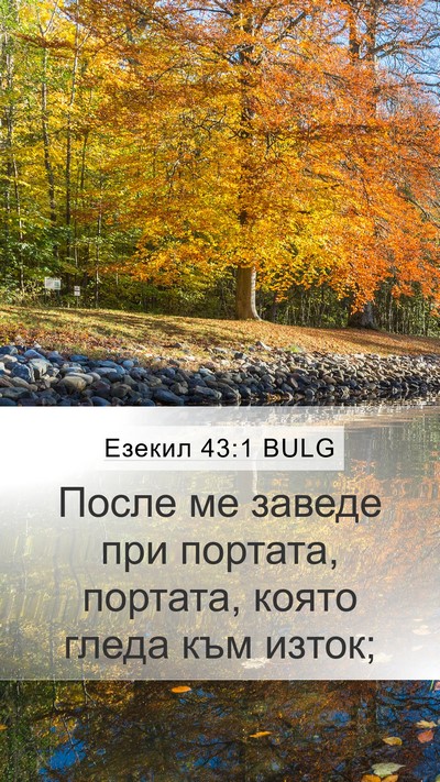 Езекил 43:1 BULG Mobile Phone Wallpaper - После ме заведе при - Mobile Bible Verse Wallpaper