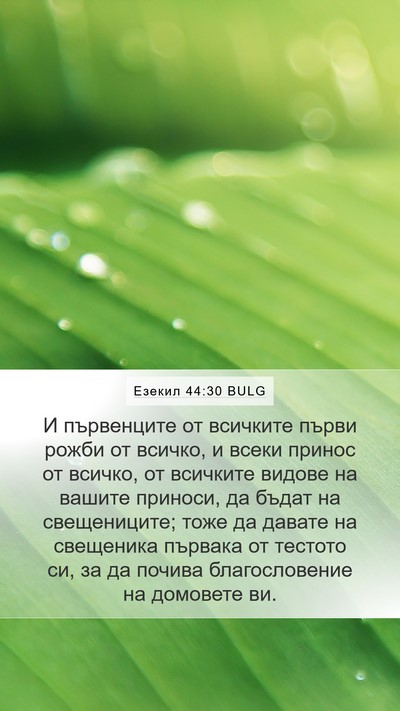 Езекил 44:30 BULG Bible Verse Image