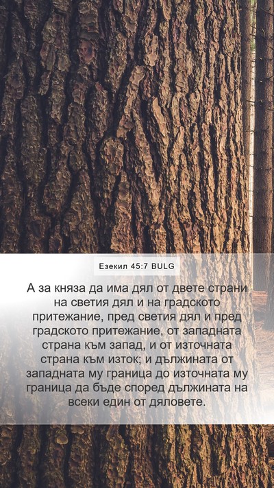 Езекил 45:7 BULG Bible Verse Image