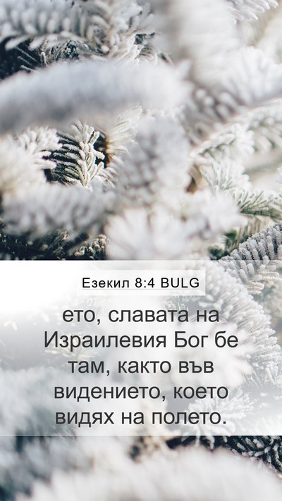 Езекил 8:4 BULG Bible Verse Image