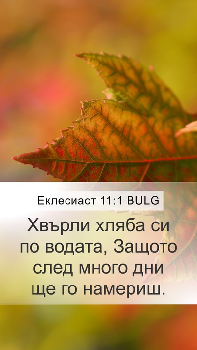 Еклесиаст 11:1 BULG Bible Verse Image