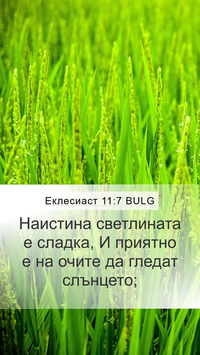 Еклесиаст 11:7 BULG Bible Verse Image