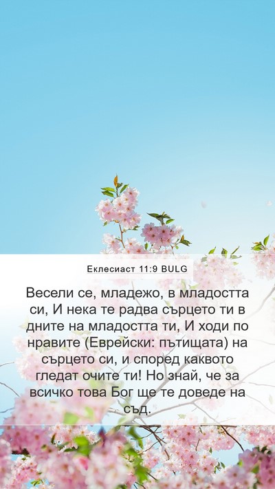 Еклесиаст 11:9 BULG Bible Verse Image