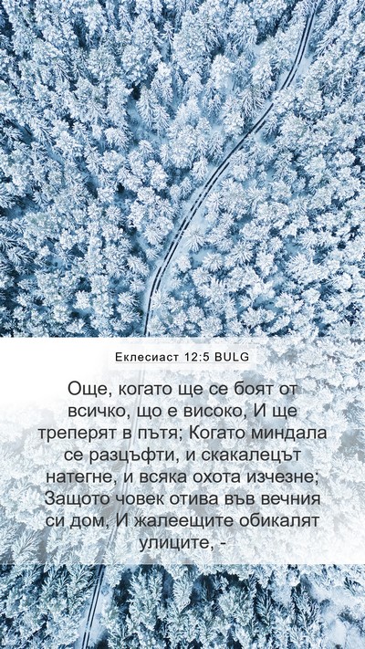Еклесиаст 12:5 BULG Bible Verse Image