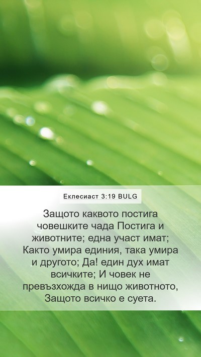 Еклесиаст 3:19 BULG Bible Verse Image