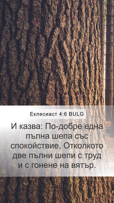 Еклесиаст 4:6 BULG Bible Verse Image