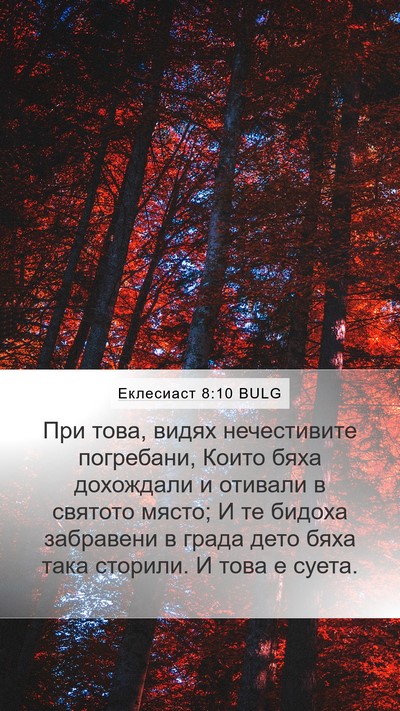 Еклесиаст 8:10 BULG Bible Verse Image