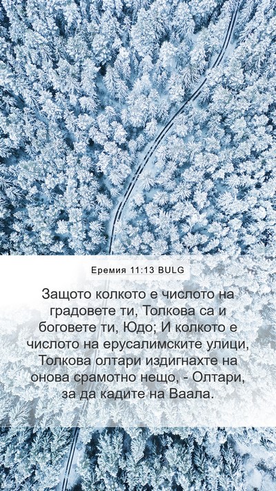 Еремия 11:13 BULG Bible Verse Image