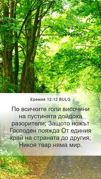 Еремия 12:12 BULG Bible Verse Image