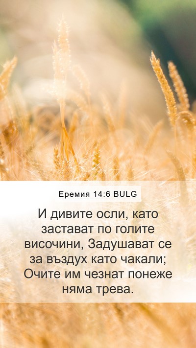 Еремия 14:6 BULG Bible Verse Image