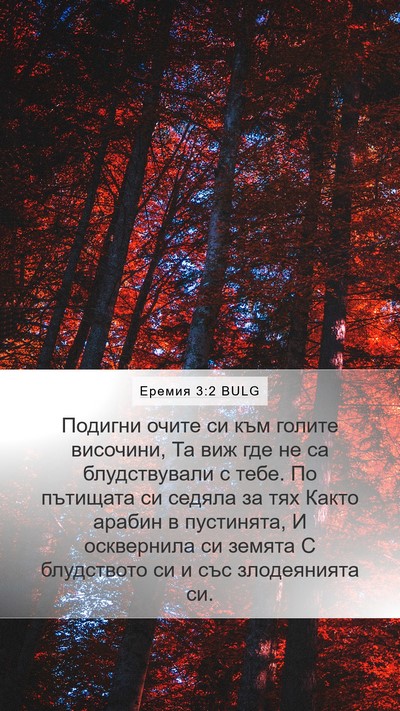 Еремия 3:2 BULG Bible Verse Image
