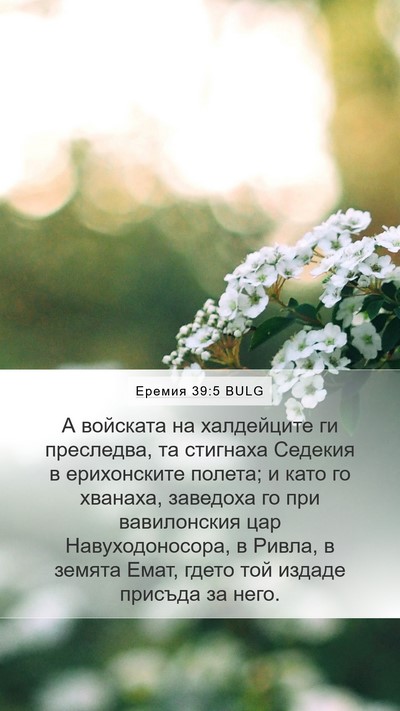 Еремия 39:5 BULG Bible Verse Image