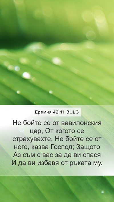 Еремия 42:11 BULG Mobile Phone Wallpaper - Не бойте се от вавилонския - Mobile Bible Verse Wallpaper