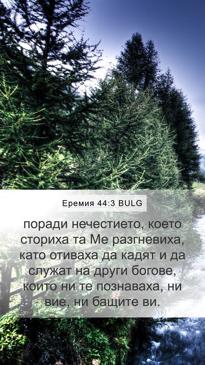 Еремия 44:3 BULG Bible Verse Image