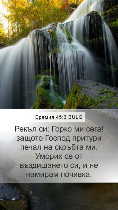 Еремия 45:3 BULG Bible Verse Image