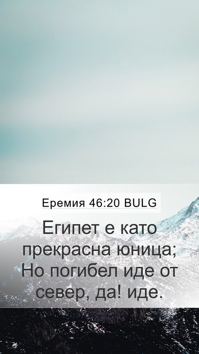 Еремия 46:20 BULG Bible Verse Image