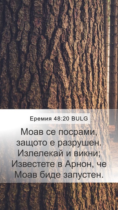 Еремия 48:20 BULG Bible Verse Image