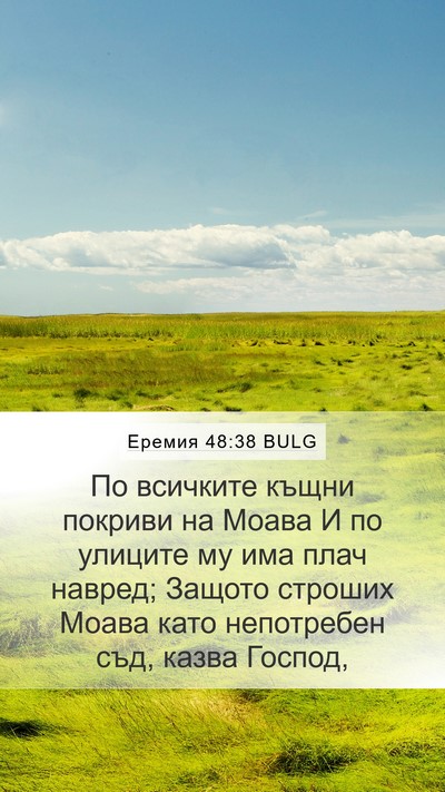 Еремия 48:38 BULG Bible Verse Image