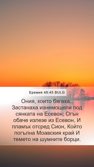 Еремия 48:45 BULG Bible Verse Image