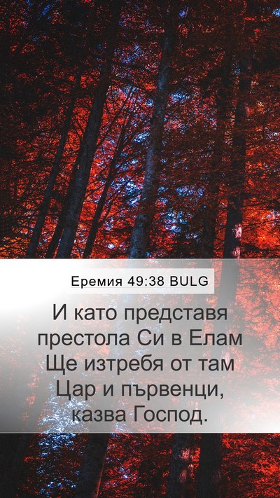 Еремия 49:38 BULG Mobile Phone Wallpaper - И като представя престола - Mobile Bible Verse Wallpaper