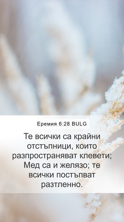 Еремия 6:28 BULG Bible Verse Image