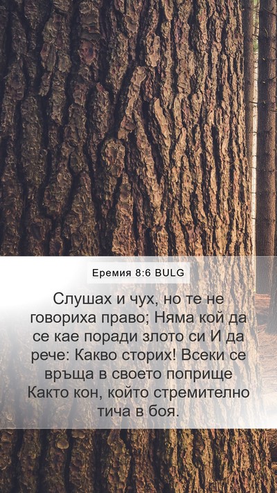 Еремия 8:6 BULG Bible Verse Image