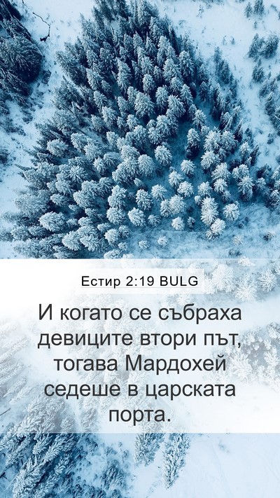 Естир 2:19 BULG Bible Verse Image