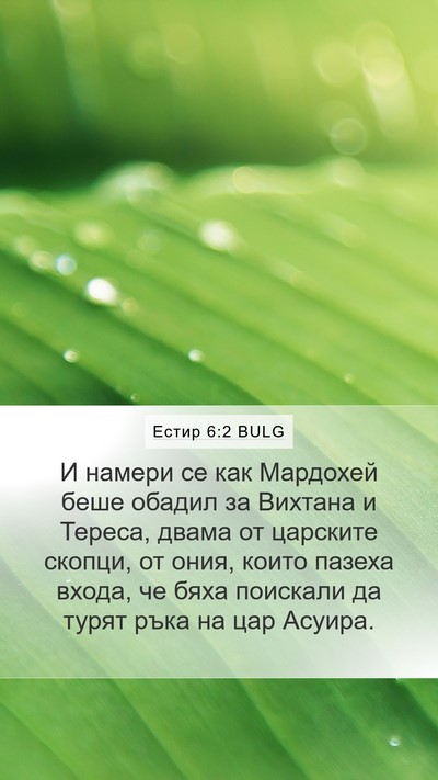 Естир 6:2 BULG Bible Verse Image