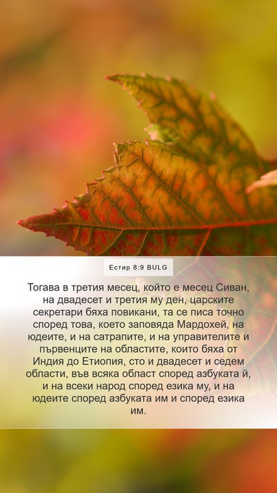 Естир 8:9 BULG Bible Verse Image