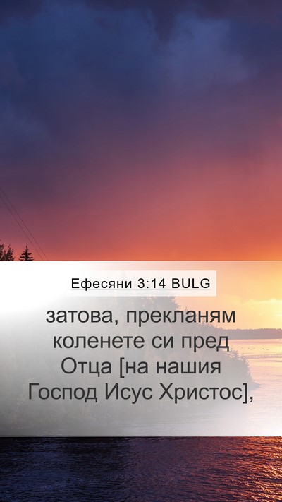Ефесяни 3:14 BULG Bible Verse Image