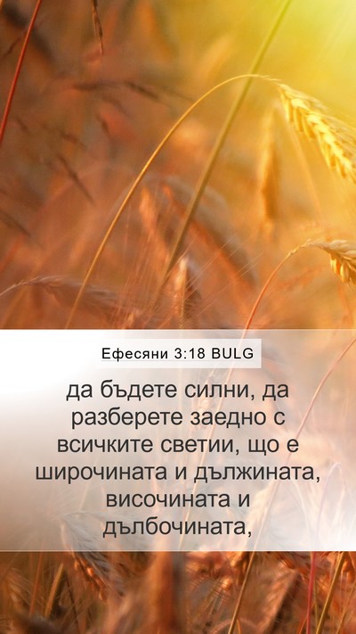 Ефесяни 3:18 BULG Bible Verse Image