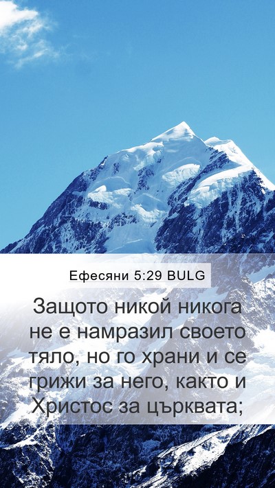 Ефесяни 5:29 BULG Mobile Phone Wallpaper - Защото никой никога не е - Mobile Bible Verse Wallpaper