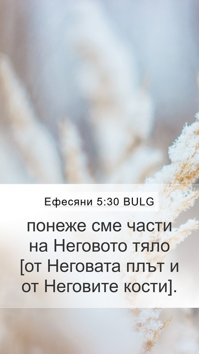 Ефесяни 5:30 BULG Bible Verse Image
