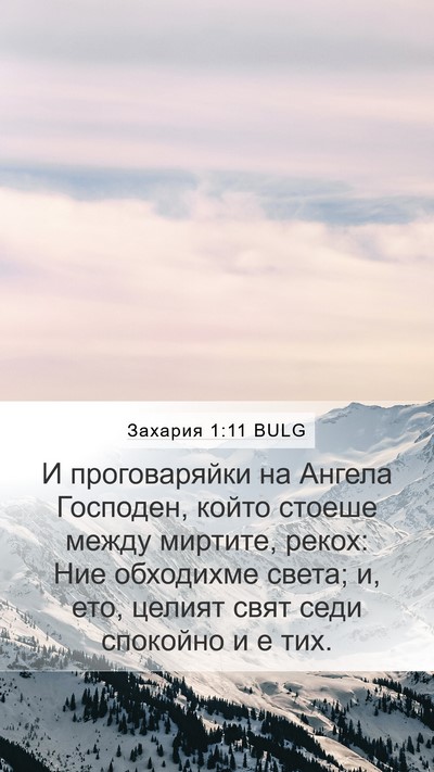 Захария 1:11 BULG Bible Verse Image