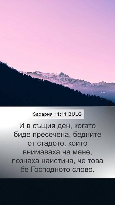 Захария 11:11 BULG Bible Verse Image
