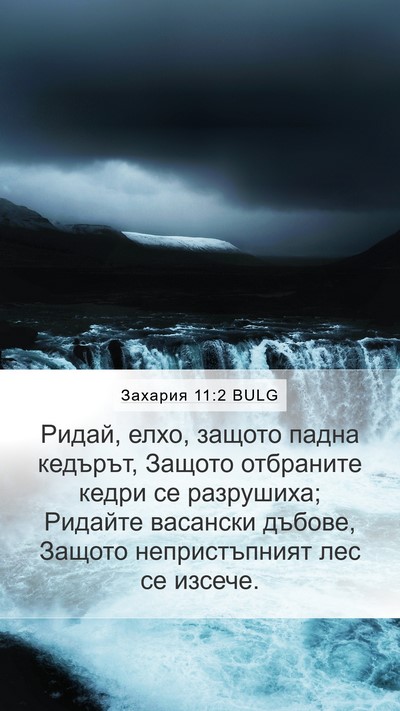 Захария 11:2 BULG Bible Verse Image