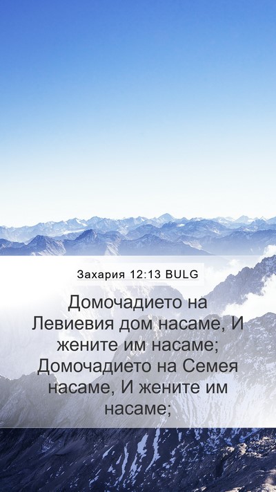 Захария 12:13 BULG Bible Verse Image