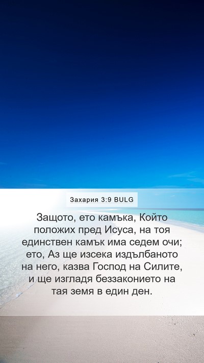 Захария 3:9 BULG Bible Verse Image