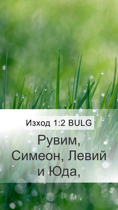 Изход 1:2 BULG Bible Verse Image