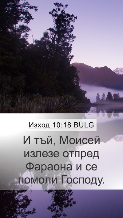 Изход 10:18 BULG Bible Verse Image