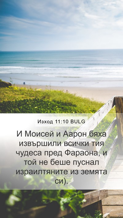 Изход 11:10 BULG Mobile Phone Wallpaper - И Моисей и Аарон бяха - Mobile Bible Verse Wallpaper