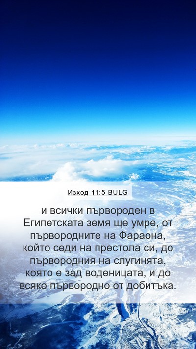 Изход 11:5 BULG Bible Verse Image